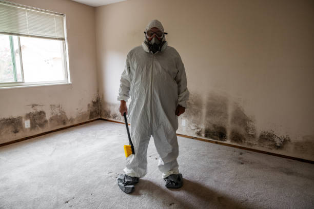 Best Professional Mold Removal  in Kahului, HI